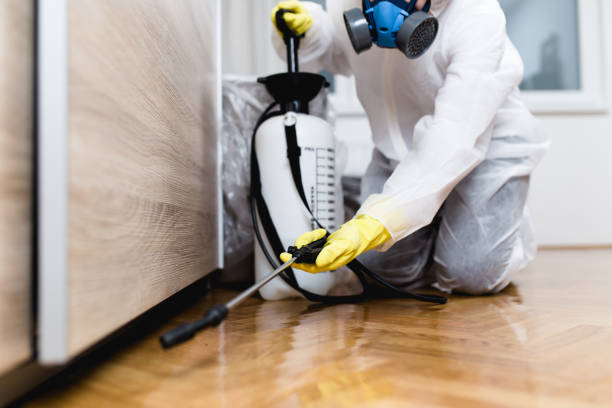 Best Affordable Pest Control Services  in Ruston, LA