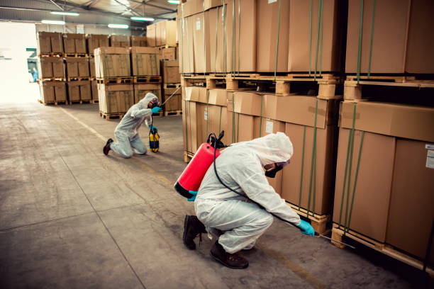 Wildlife Control Services in Ruston, LA