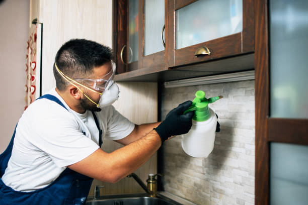 Best Mosquito Control Services  in Ruston, LA