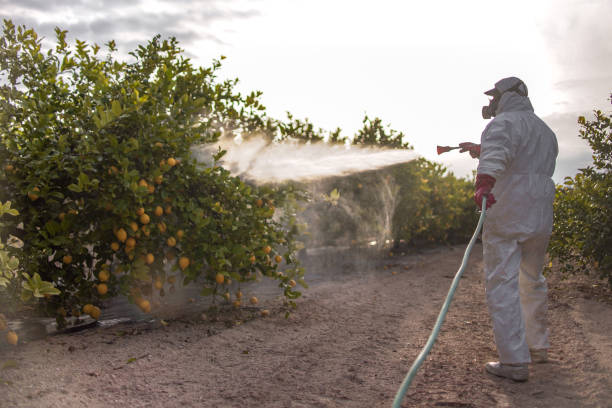 Best Pest Control Near Me  in Ruston, LA
