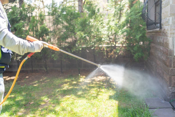 Pest Control for Restaurants in Ruston, LA