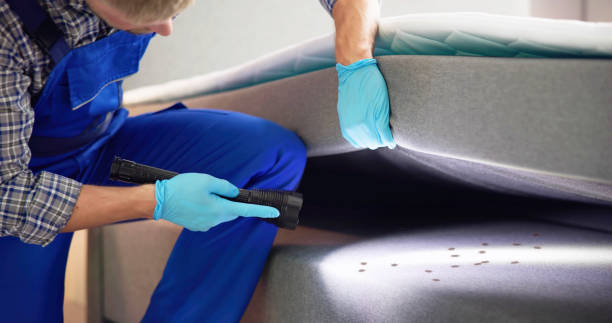 Best Flea Control Services  in Ruston, LA